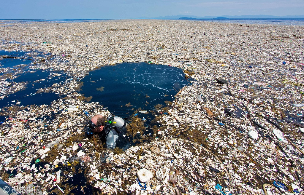 塑戰速決？塑料垃圾正在污染生態系統，人類如何應對